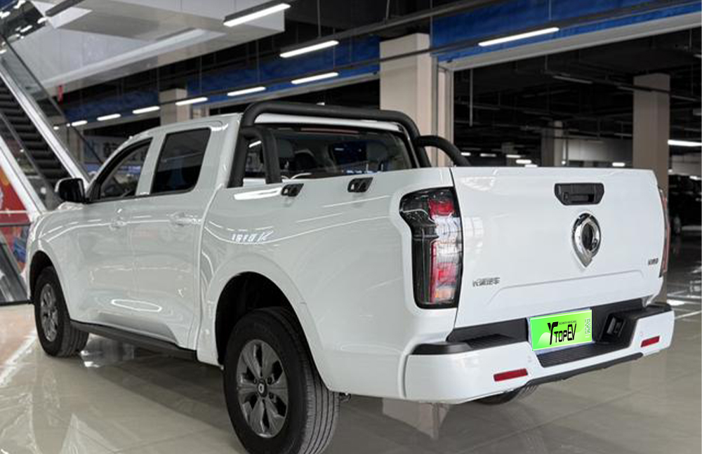 Used 2023 Great Wall